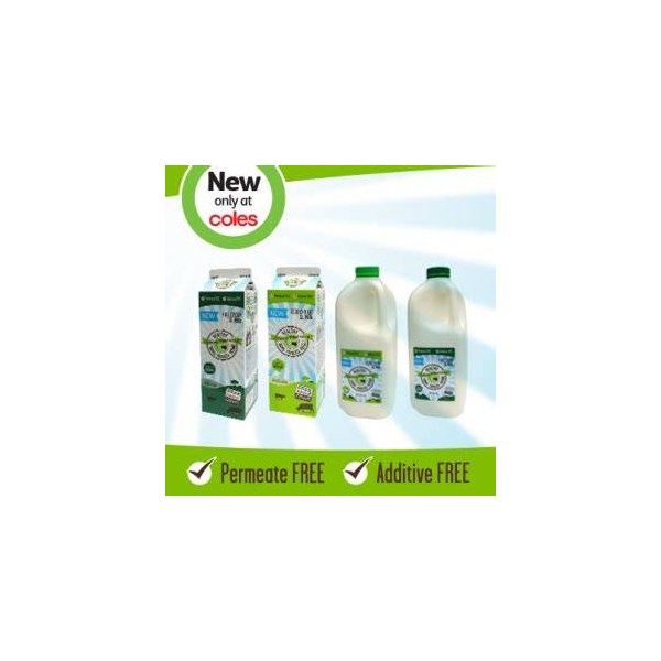 Green inserts [Inserts-Green]
